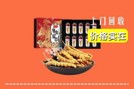 那曲索县回收冬虫夏草